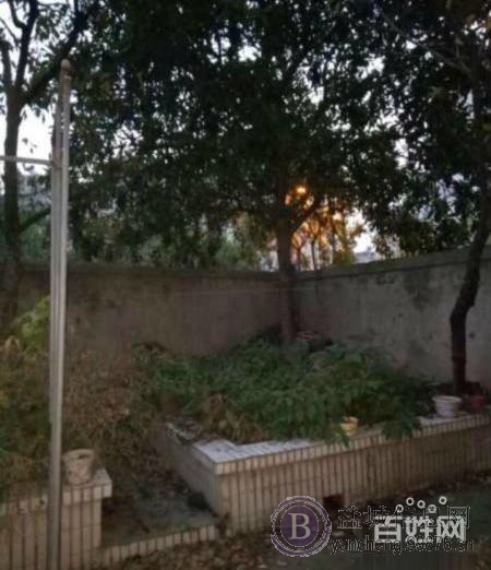 毓龙组团 1100元 3室2厅1卫 普通装修,少有